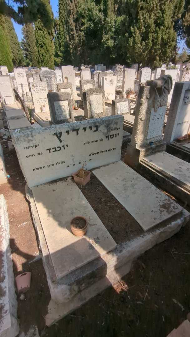 קברו של יוסף ניידיץ. תמונה 1