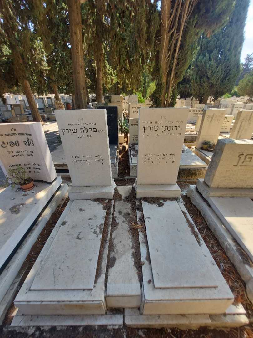 קברו של פרלה שורץ. תמונה 1