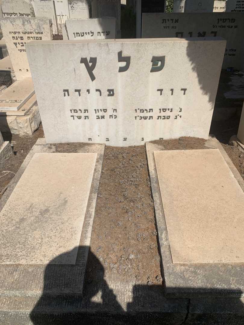 קברו של דוד פלץ. תמונה 2