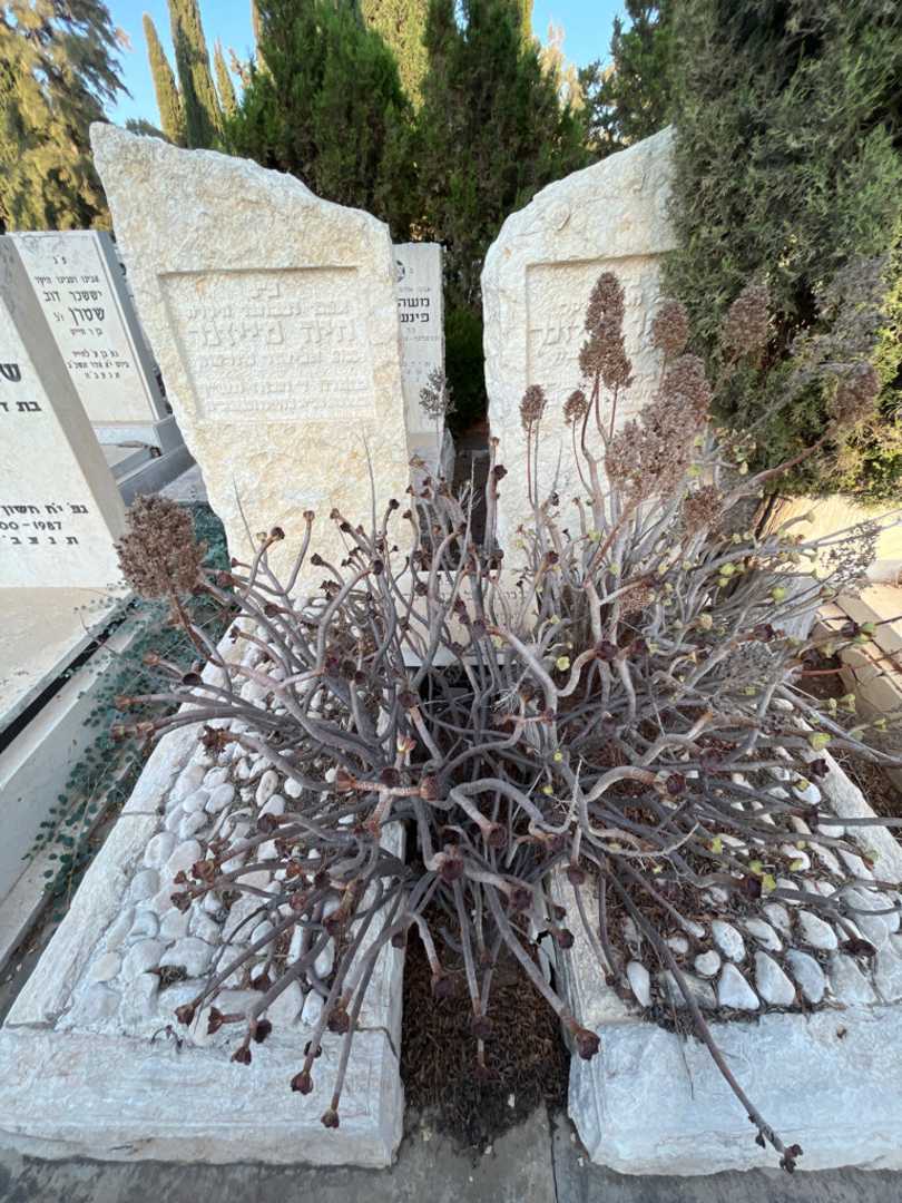 קברו של אליהו מייזנר. תמונה 1