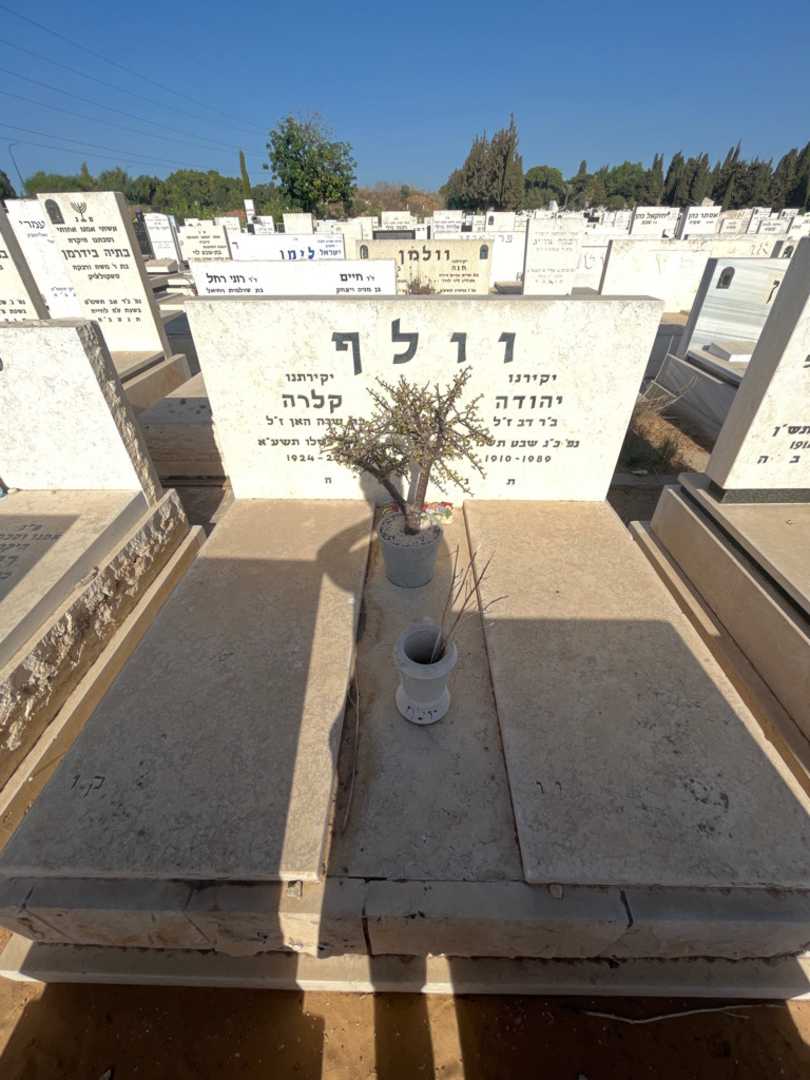 קברו של יהודה וולף. תמונה 2