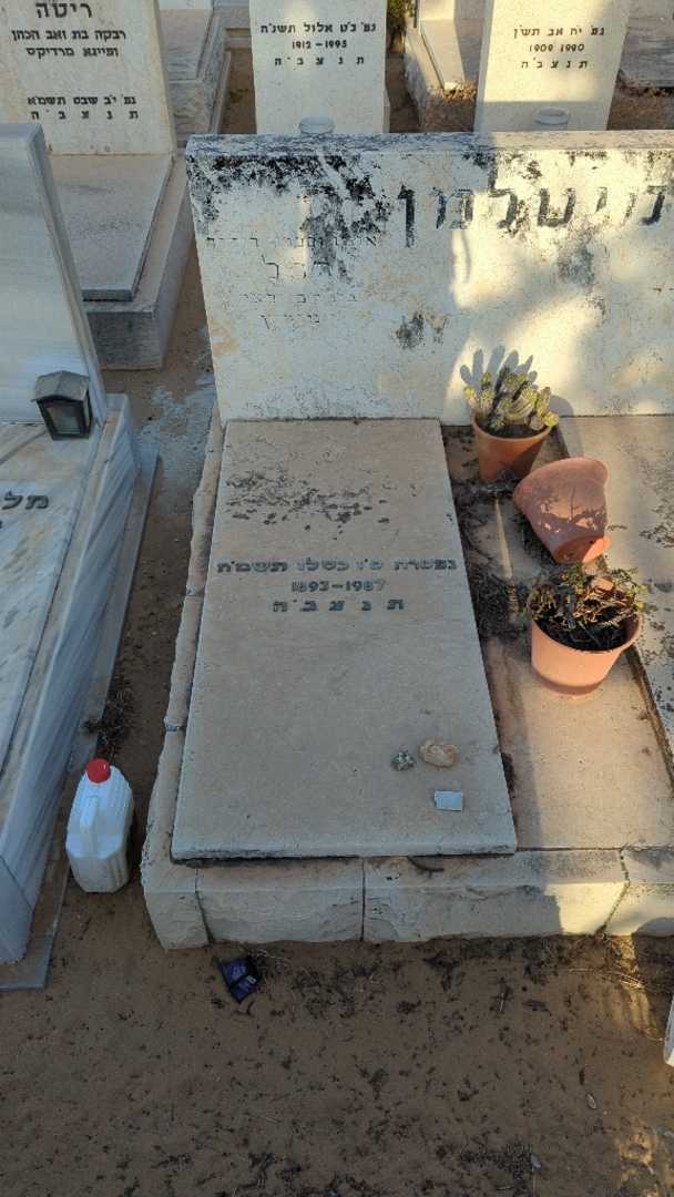 קברו של רחל מיטלמן. תמונה 1
