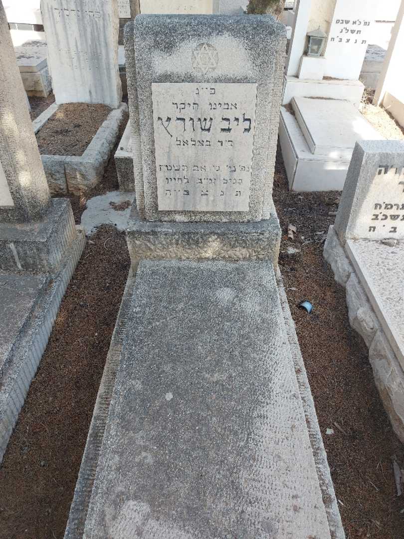 קברו של ליב שורץ