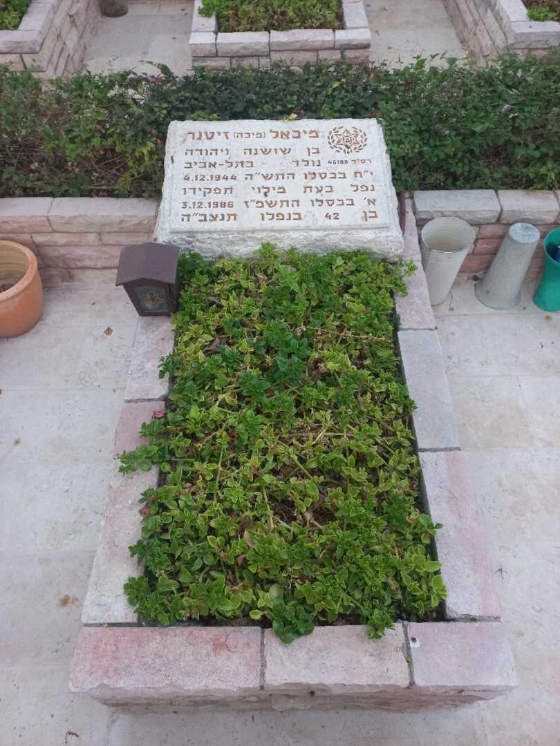 קברו של מיכאל "מיכה" זיטנר