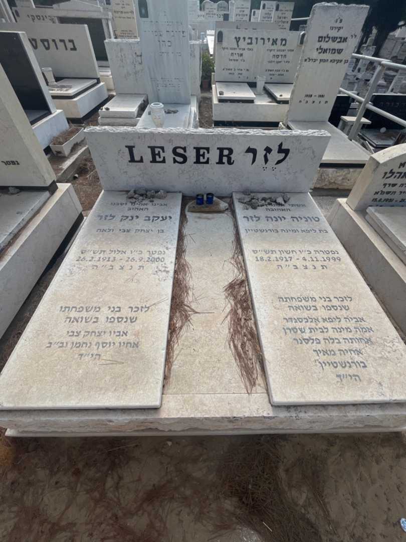 קברו של בלה פלסנר בורנשטיין. תמונה 1