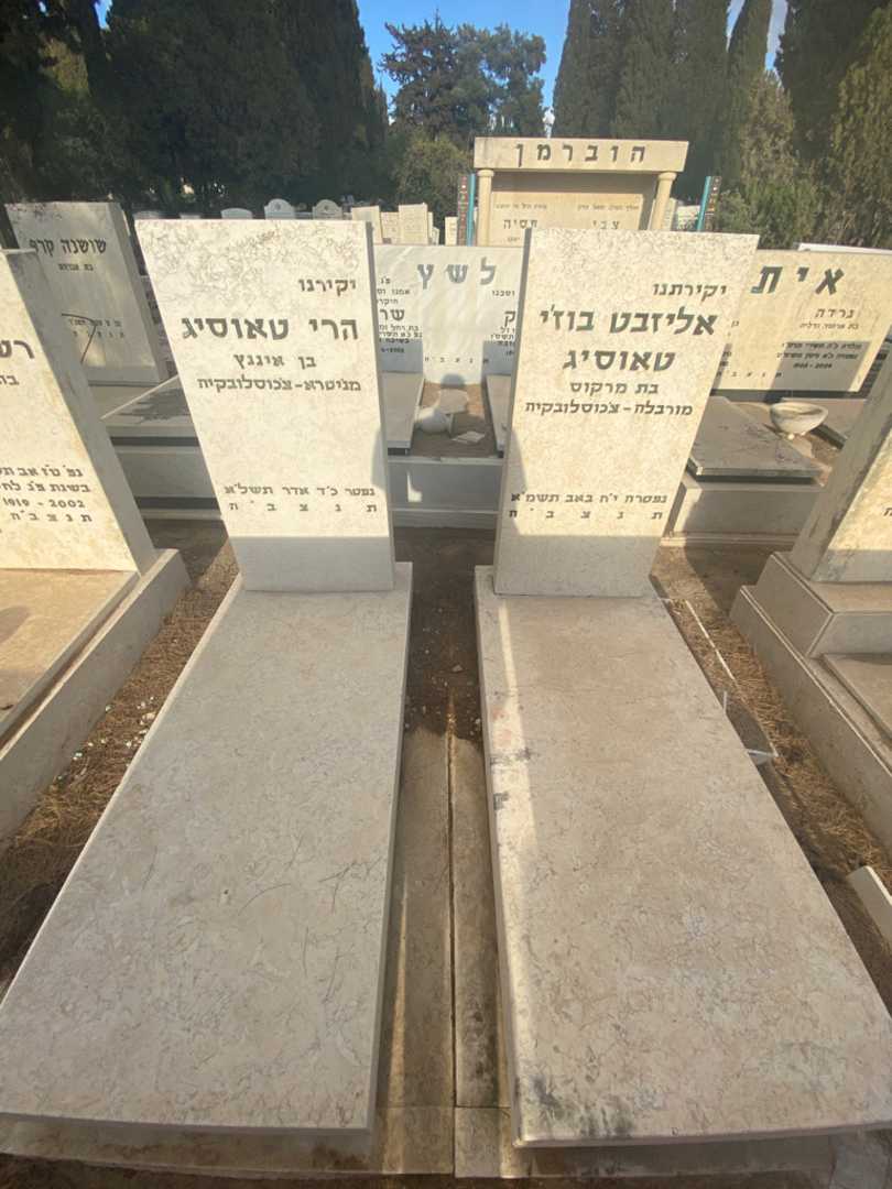 קברו של אליזבט בוז׳י טאוסיג. תמונה 1