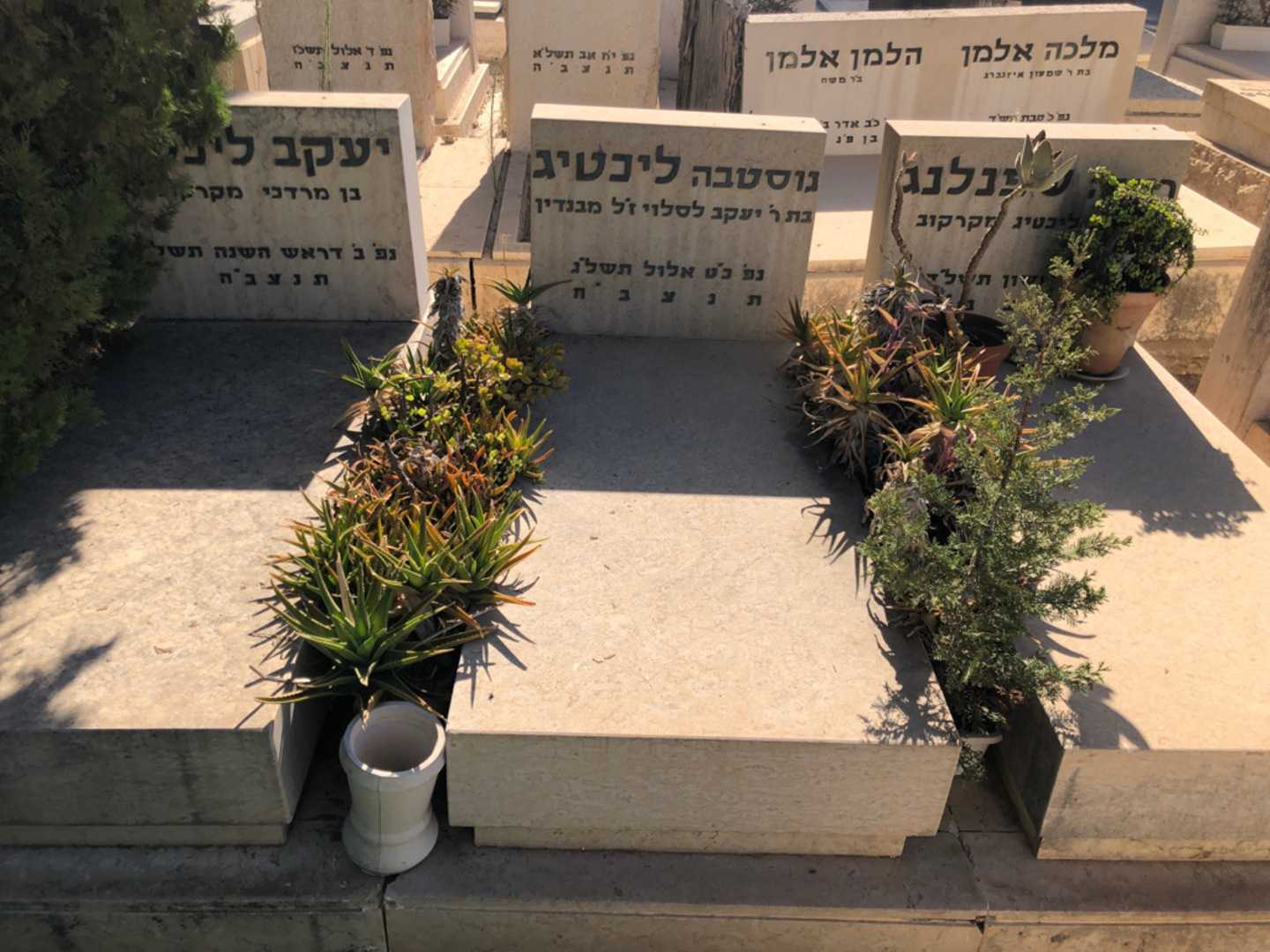 קברו של יעקב ליכטיג. תמונה 2
