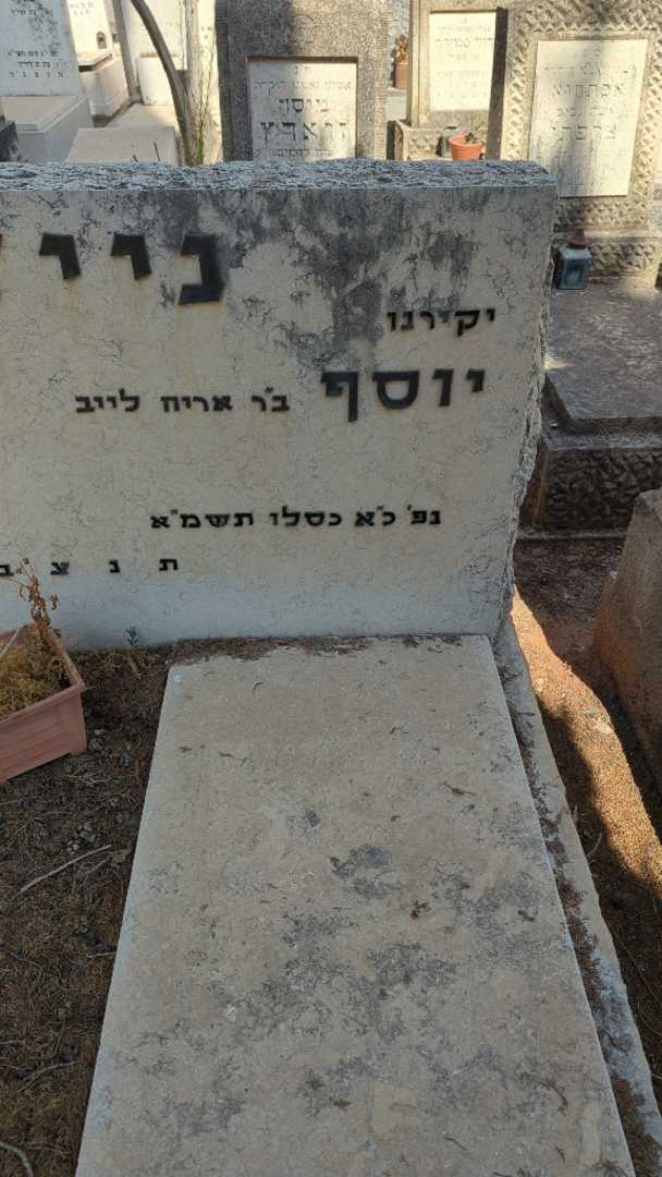 קברו של יוסף ניידיץ. תמונה 2