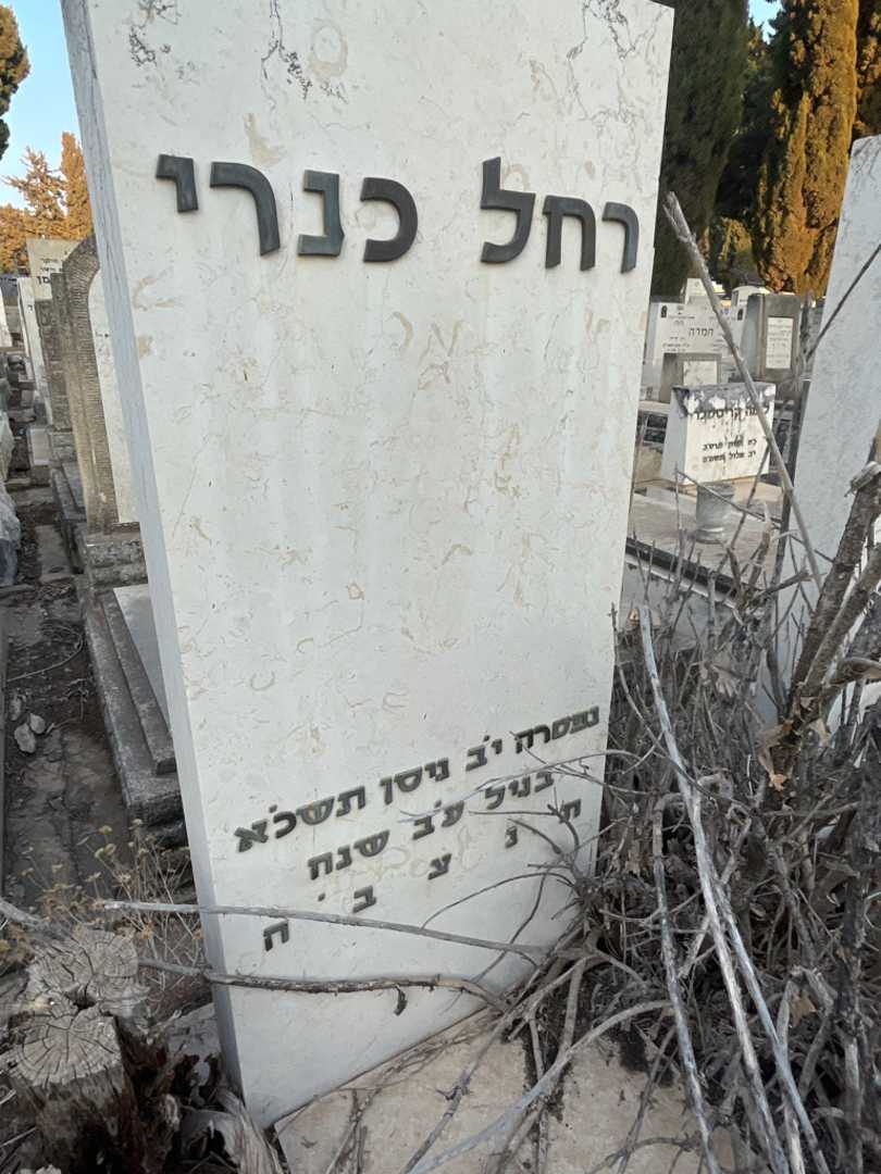 קברו של רחל כנרי. תמונה 3