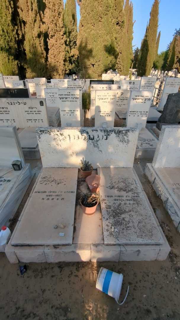 קברו של רחל מיטלמן. תמונה 2