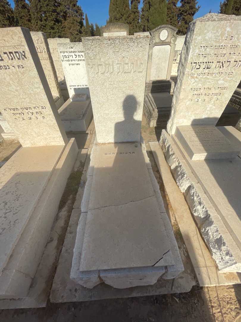 קברו של טובה הלוי