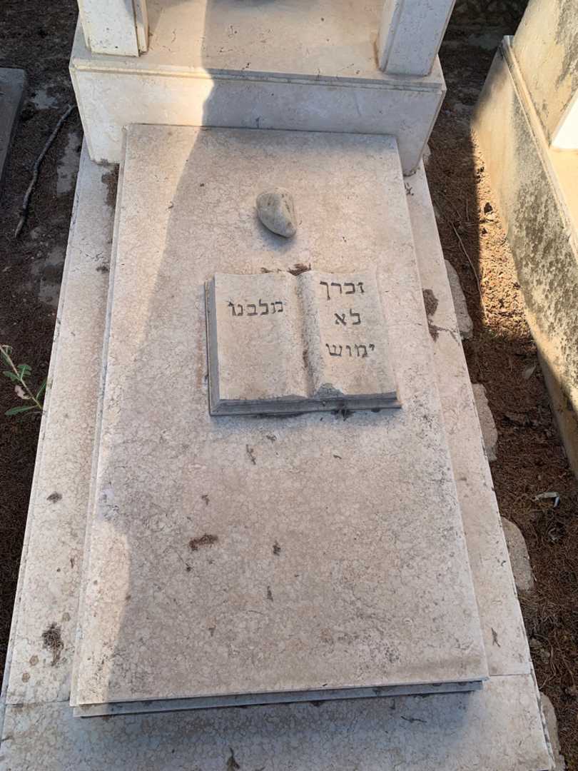 קברו של פרחה גפני. תמונה 2