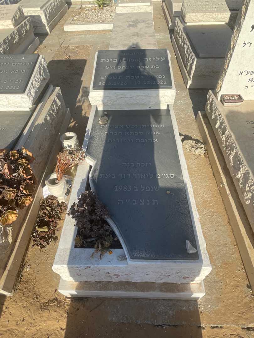 קברו של דוד בינת. תמונה 1