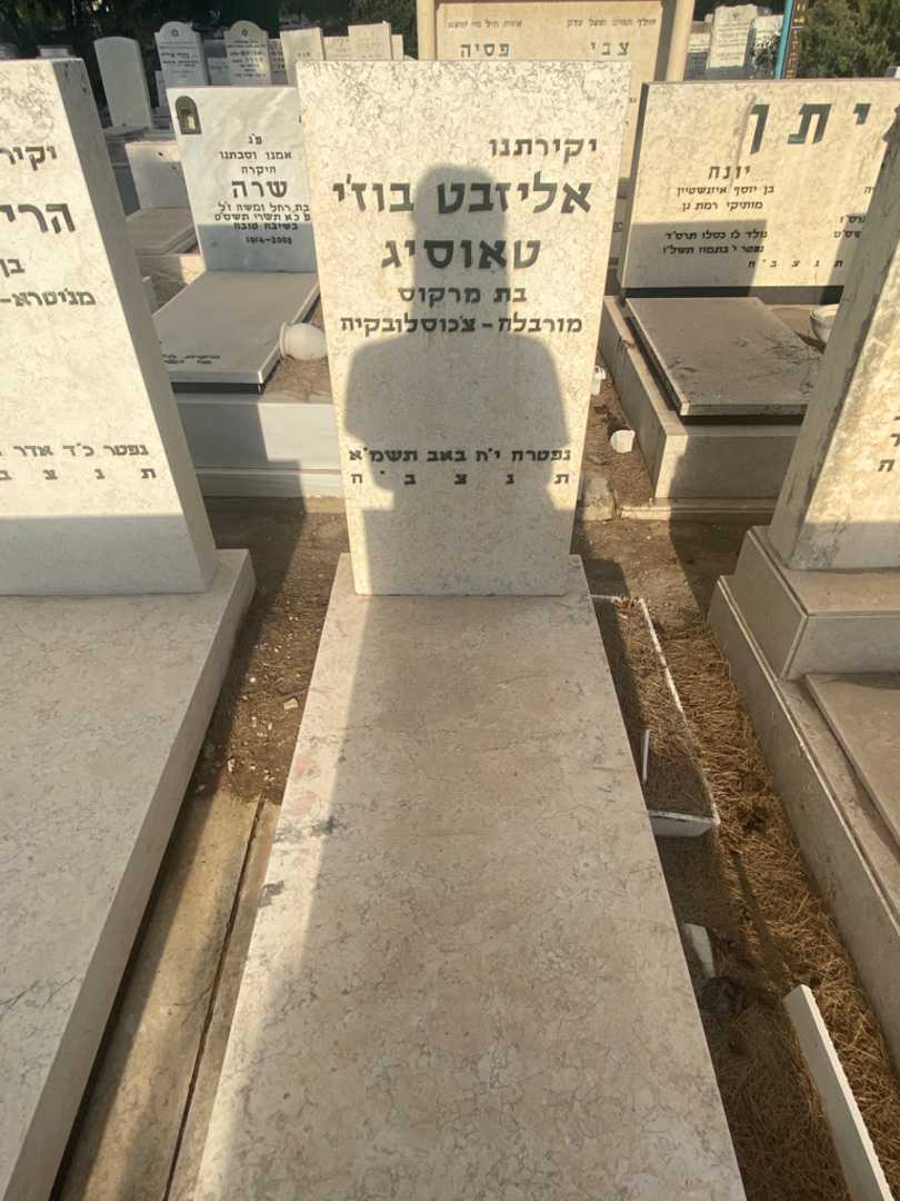 קברו של אליזבט בוז׳י טאוסיג. תמונה 2
