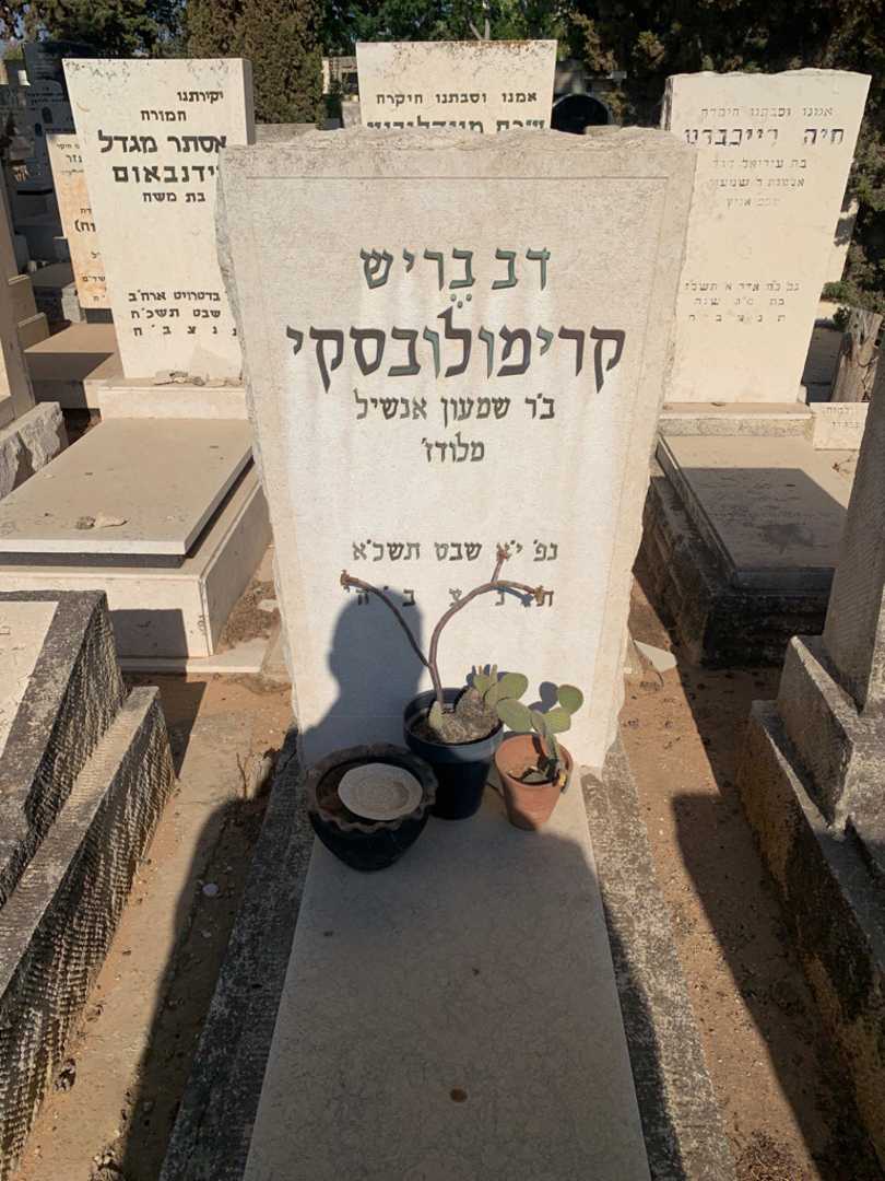 קברו של דב בריש קרימולובסקי