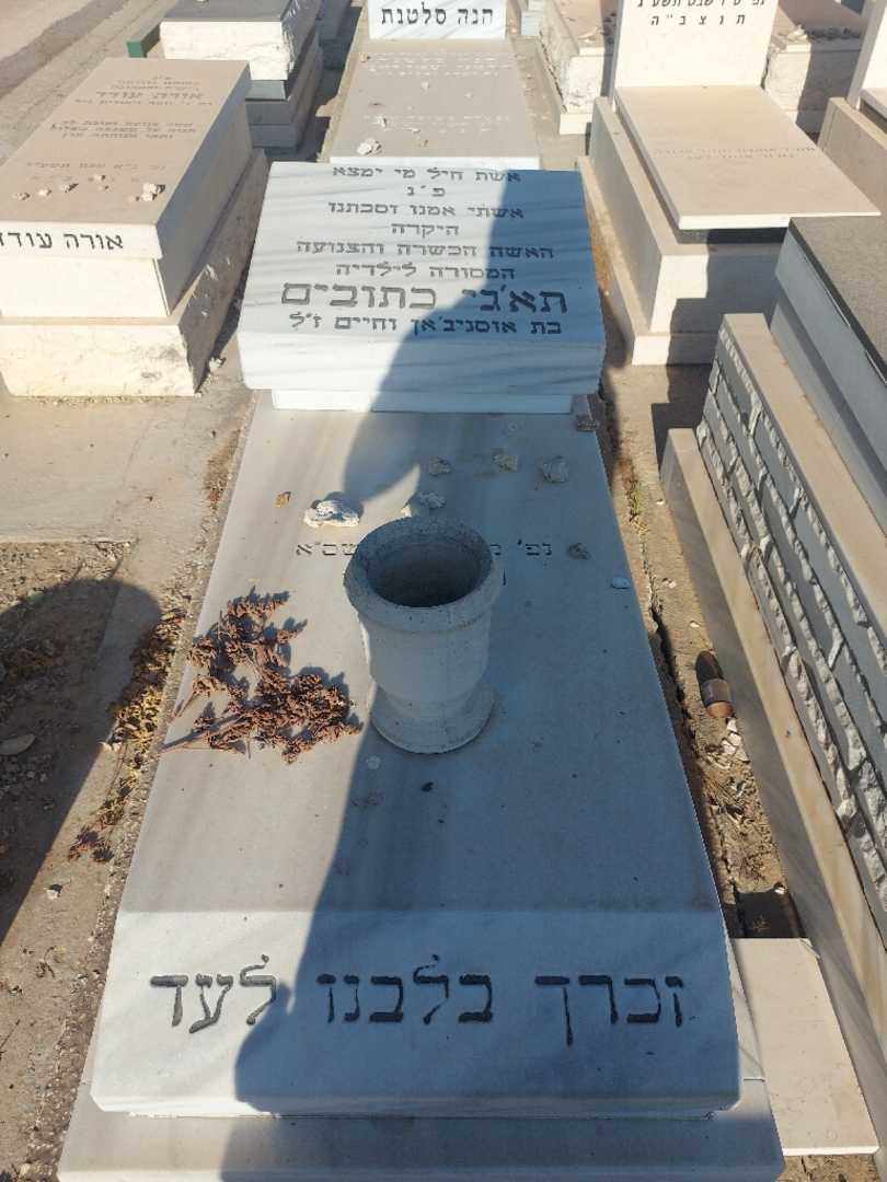 קברו של תא׳גי כתובים. תמונה 1