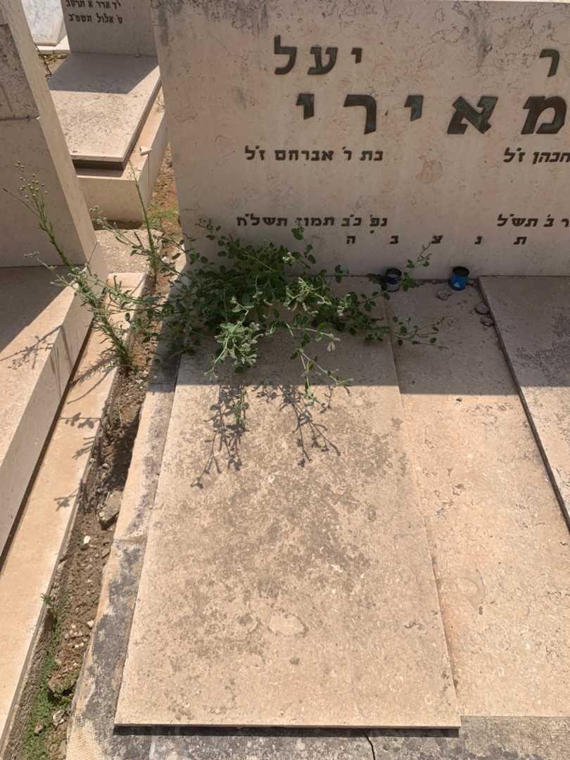 קברו של יעל המאירי. תמונה 1