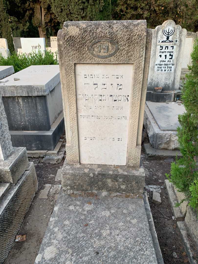 קברו של מיכלה אוסטרובסקי-טיר