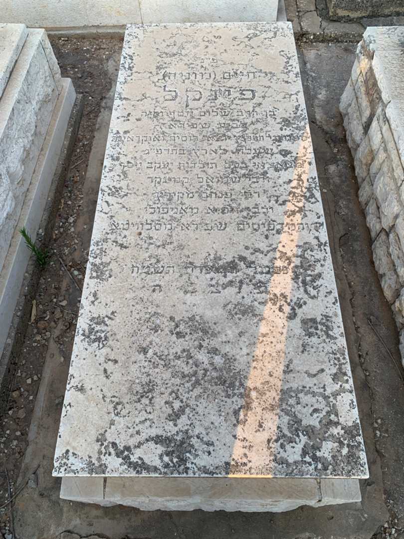 קברו של חיים "מוניה" פינקל