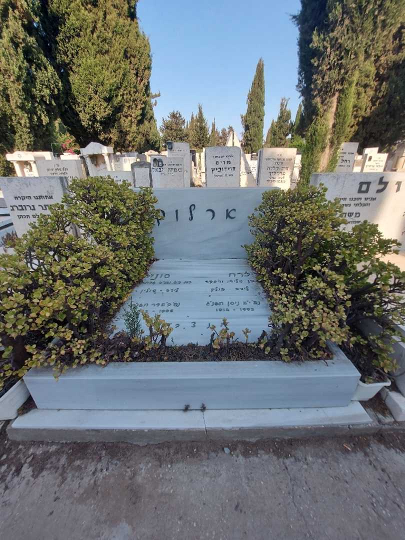 קברו של סוניה ארלוק. תמונה 2