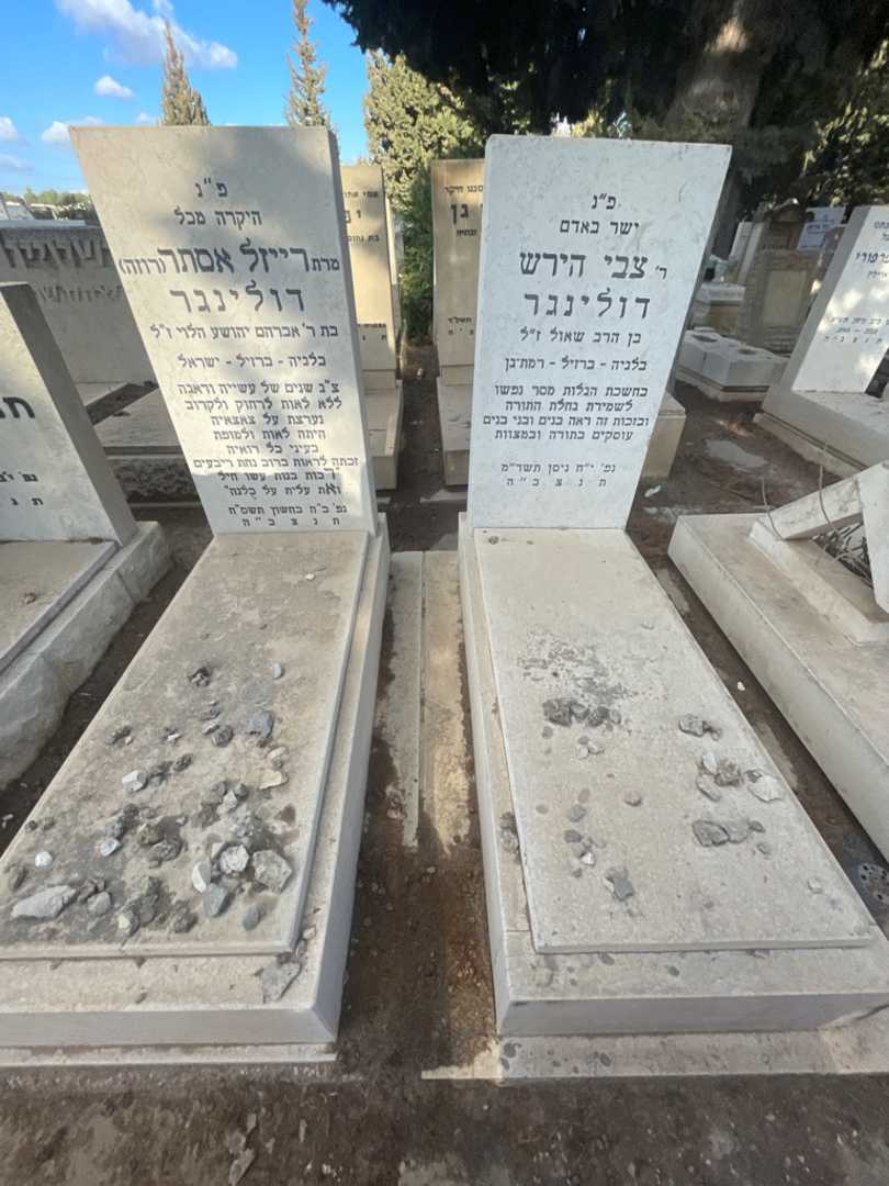 קברו של צבי הירש דולינגר. תמונה 1