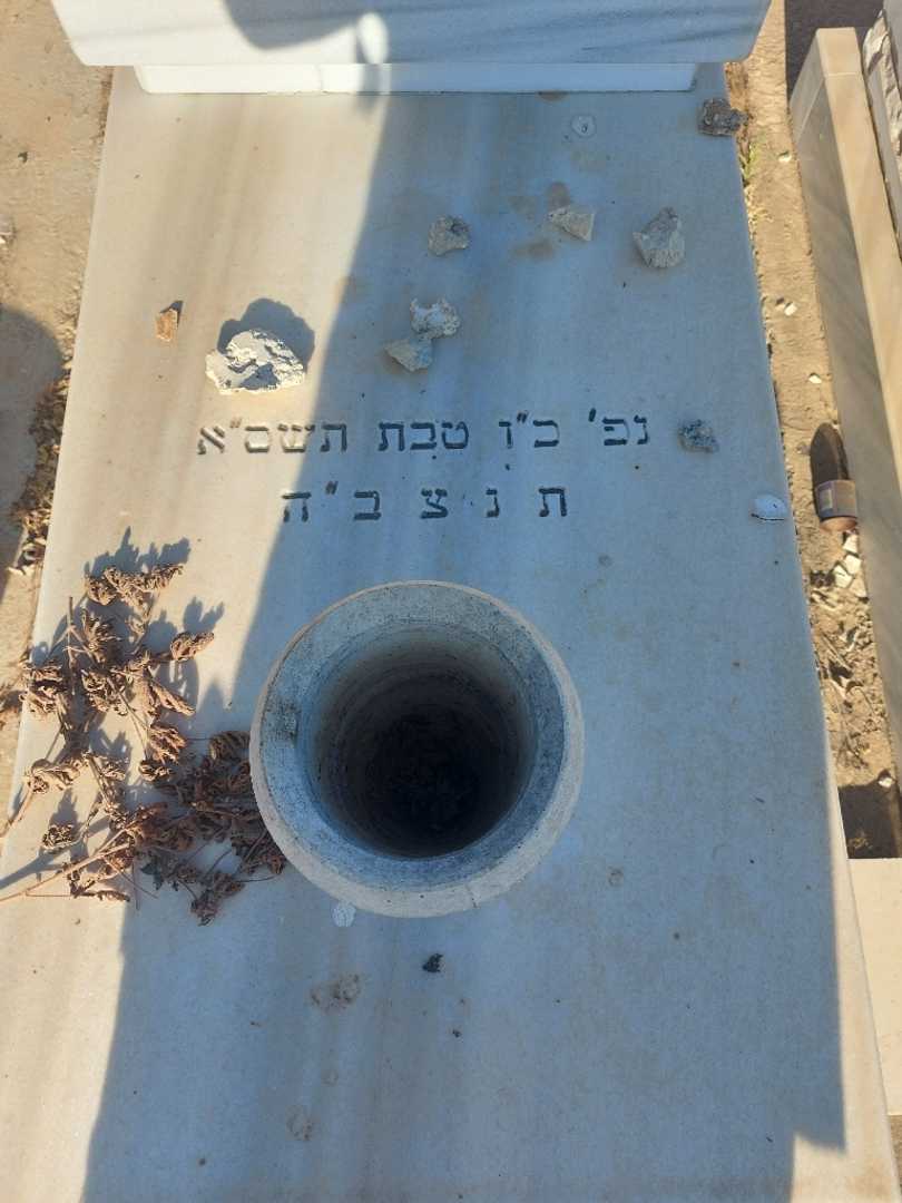 קברו של תא׳גי כתובים. תמונה 2