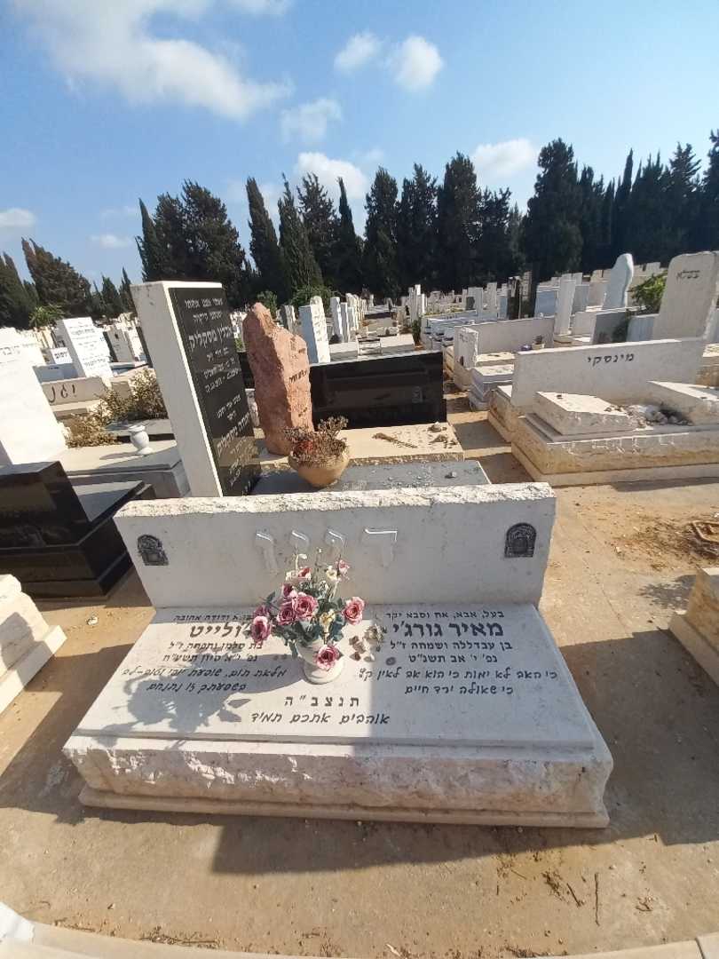 קברו של מאיר גורג'י דיין