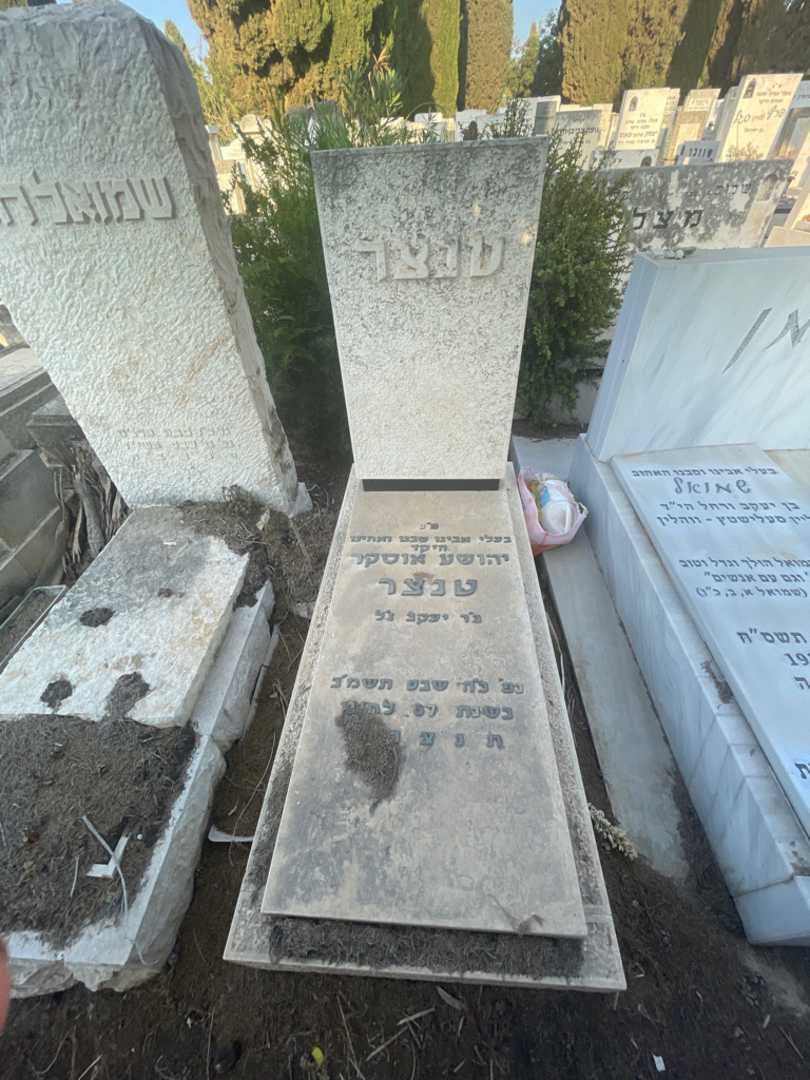 קברו של יהושע אוסקר טנצר