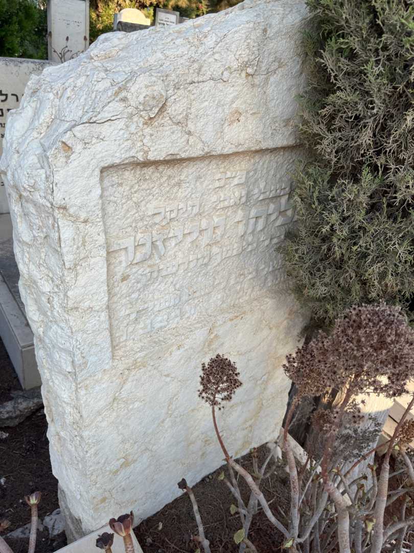 קברו של אליהו מייזנר. תמונה 2