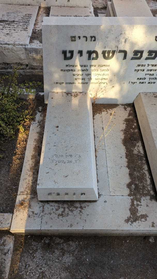 קברו של מרים קופפרשמיט. תמונה 2
