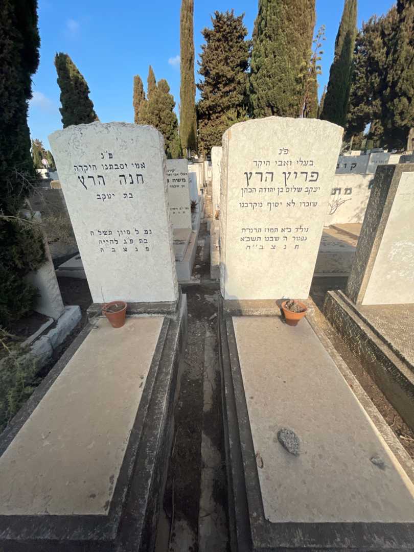 קברו של פריץ הרץ. תמונה 1