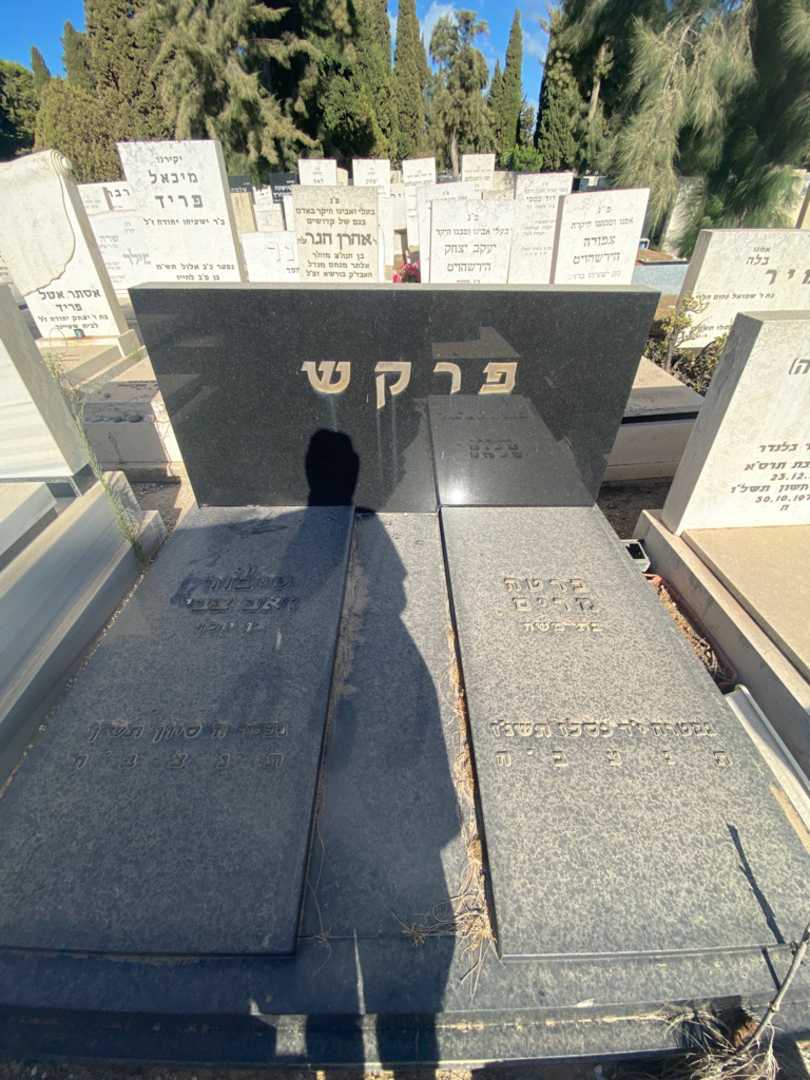 קברו של טיבור זאב צבי פרקש. תמונה 1