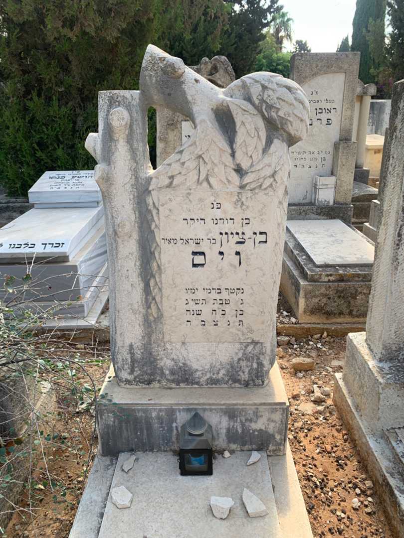 קברו של בן-ציון ויס