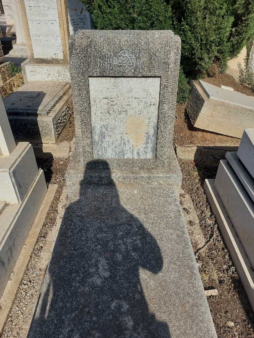 קברו של מרדכי פרין