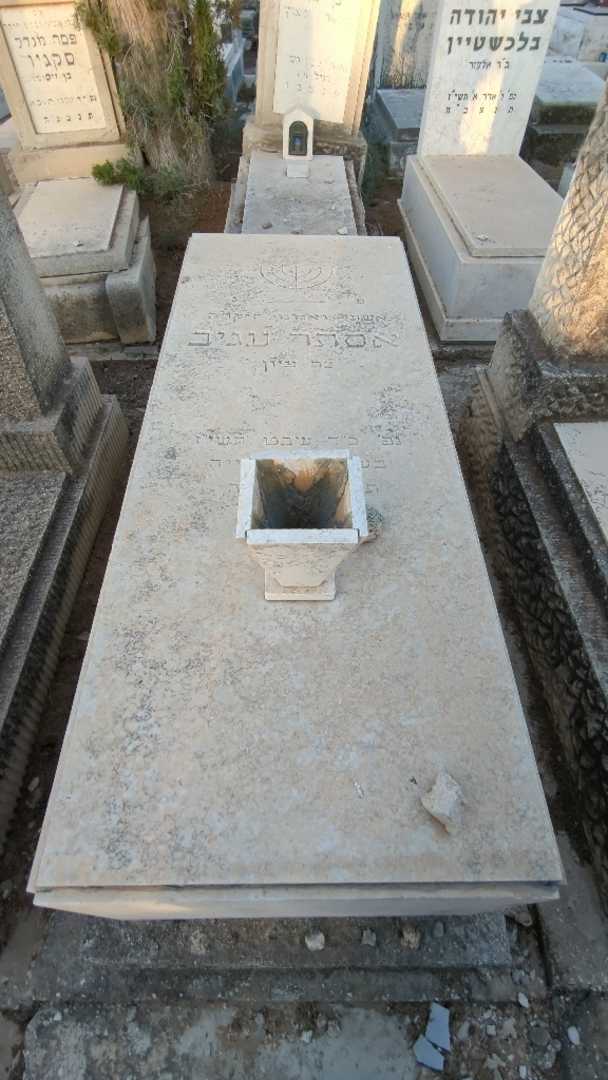 קברו של אסתר עגיב. תמונה 1
