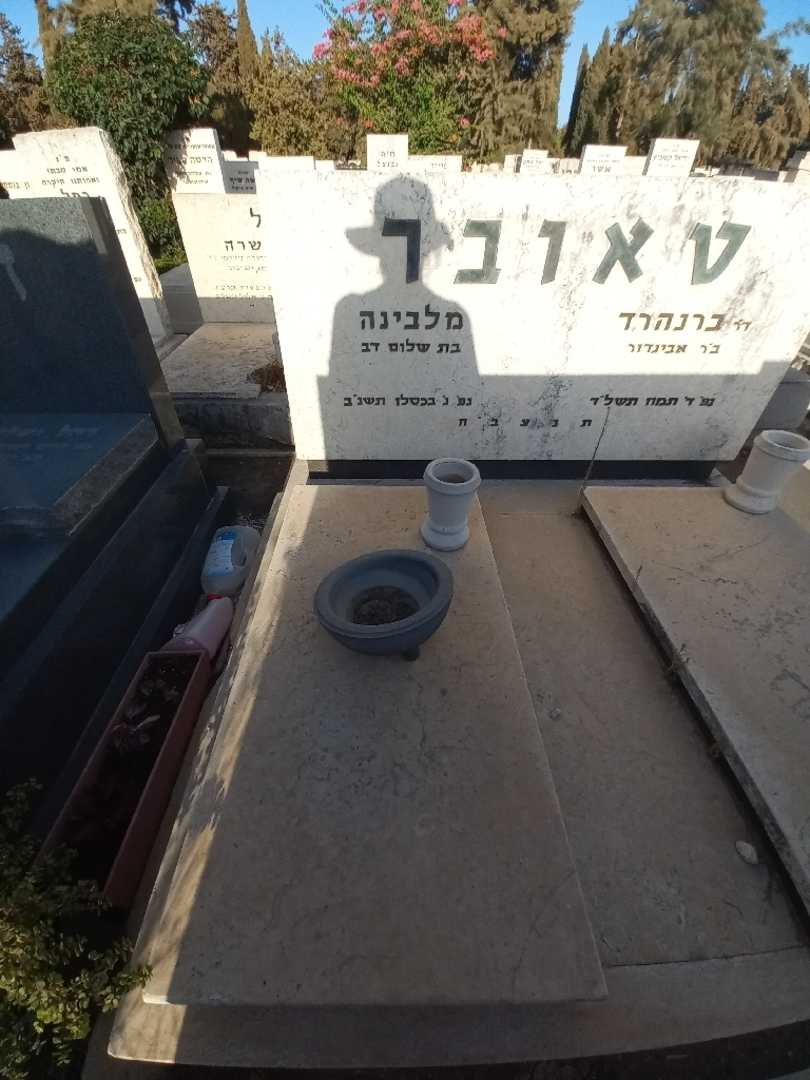 קברו של מלבינה טאובר. תמונה 1