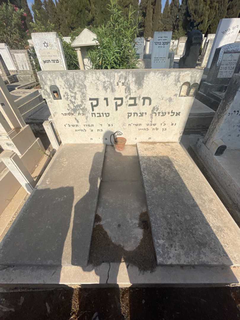 קברו של אליעזר חבקוק. תמונה 1