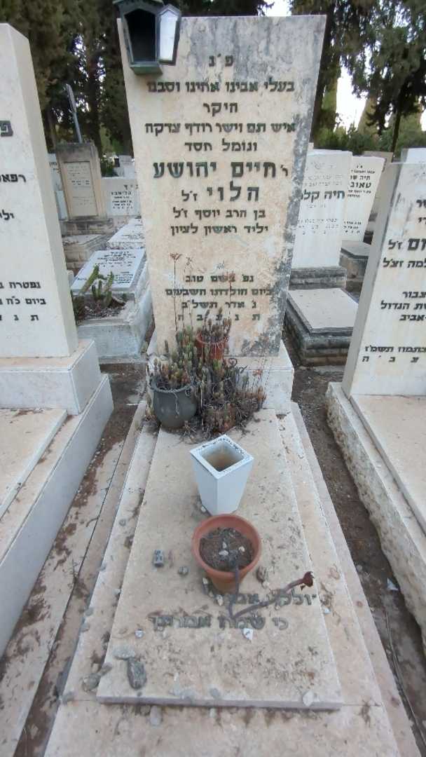 קברו של חיים יהושע הלוי