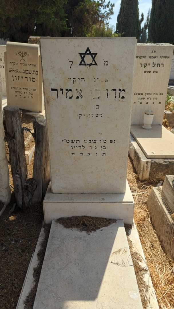 קברו של מרדכי אמיר