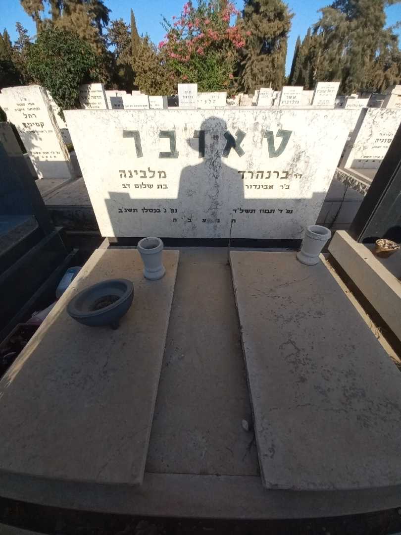 קברו של מלבינה טאובר. תמונה 2