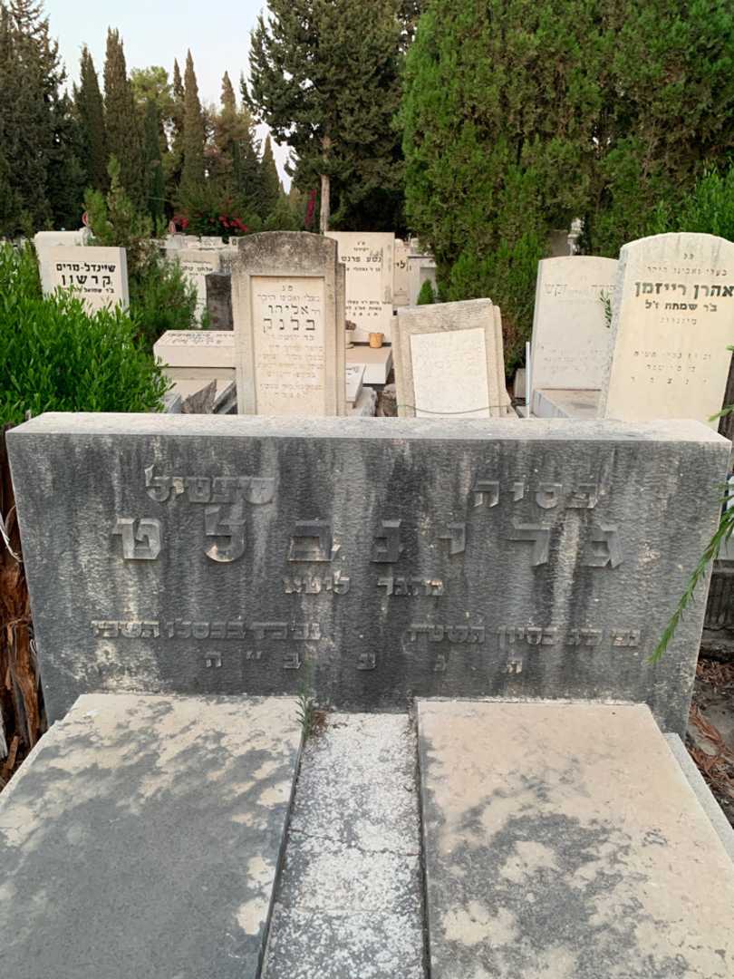 קברו של שפטיל גרינבלט. תמונה 1