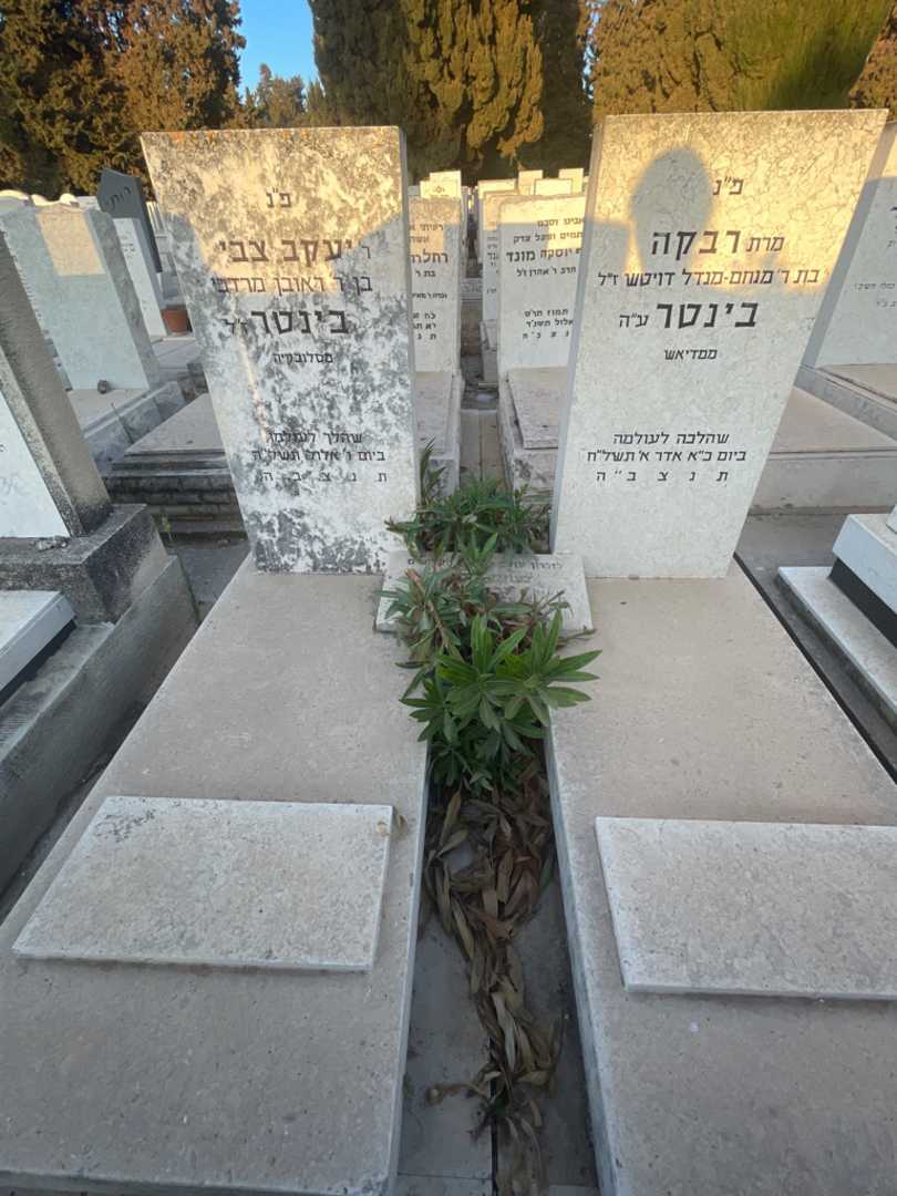 קברו של יעקב צבי בינטר. תמונה 1