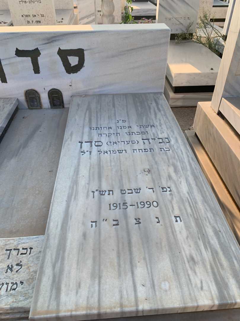 קברו של נג׳יה סדן סעדיאן. תמונה 2