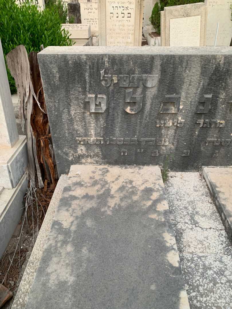 קברו של שפטיל גרינבלט. תמונה 2