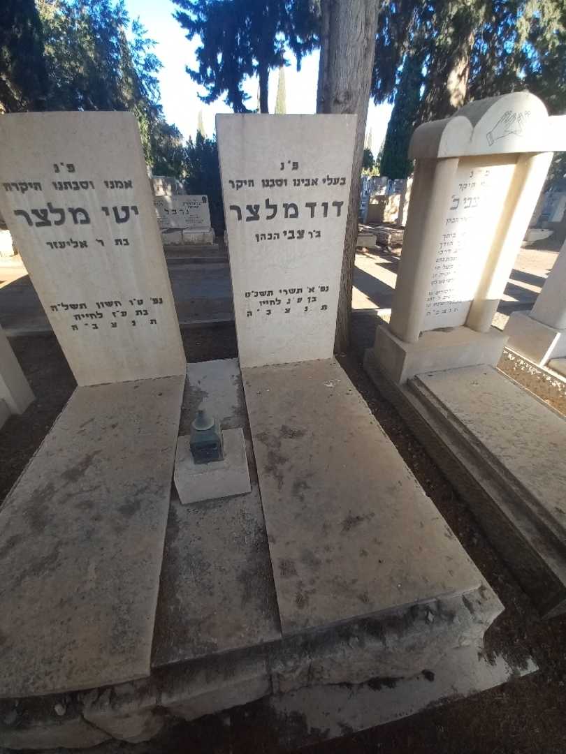 קברו של דוד מלצר. תמונה 1