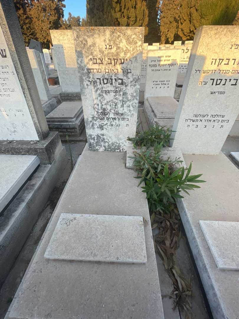 קברו של יעקב צבי בינטר. תמונה 2