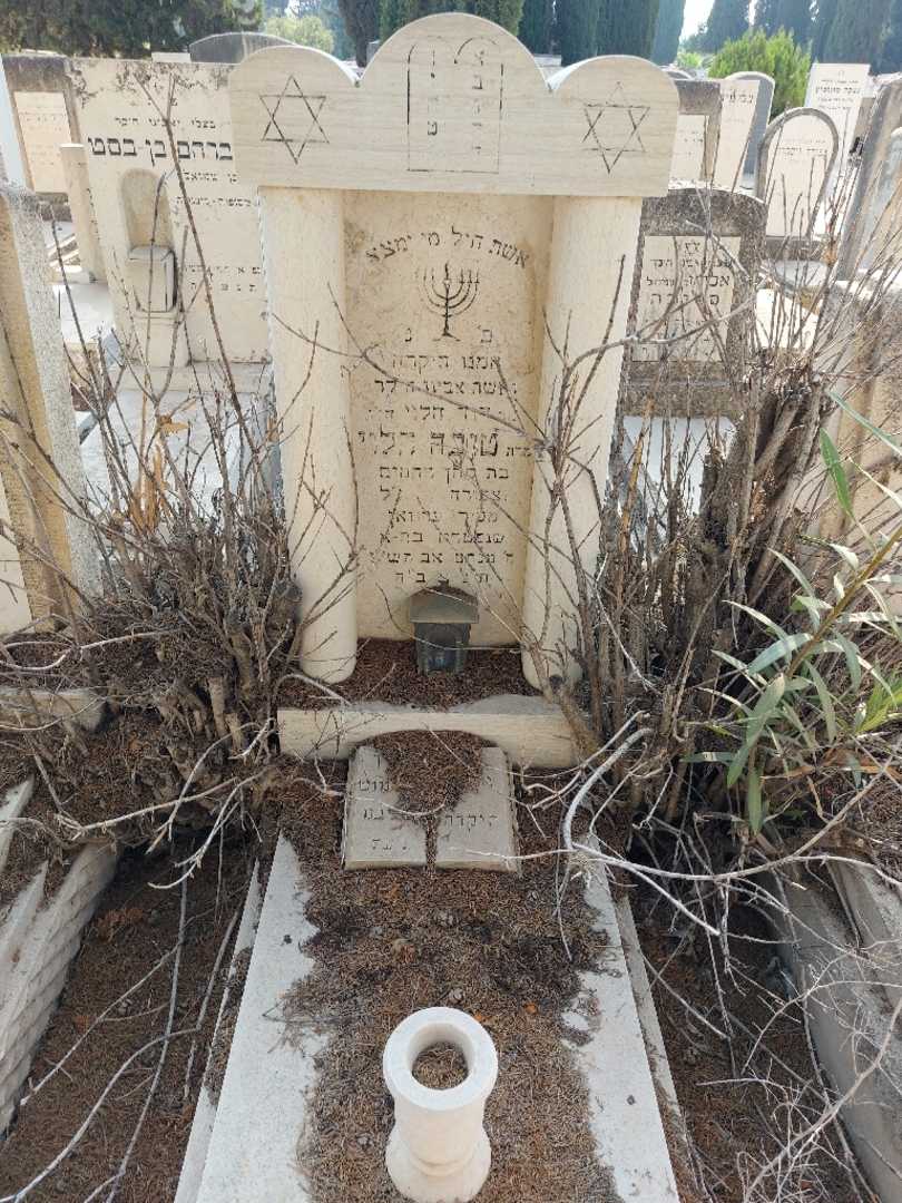 קברו של טובה הלוי