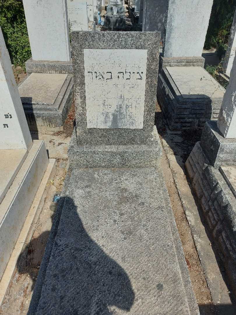 קברו של צילה באיר