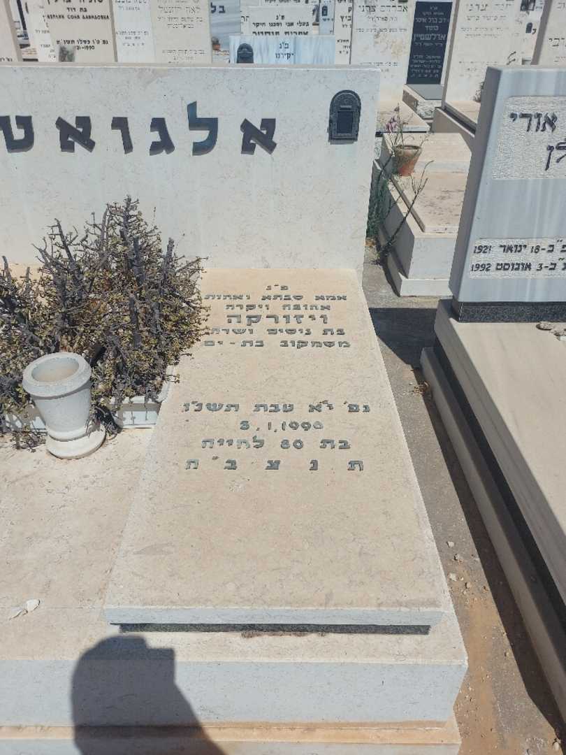 קברו של ויזורקה אלגואטי. תמונה 1