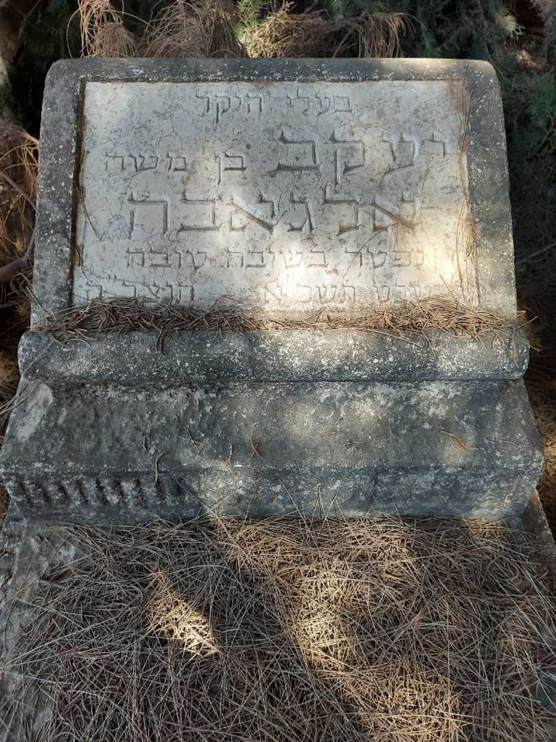 קברו של יעקב אלגאבה. תמונה 2